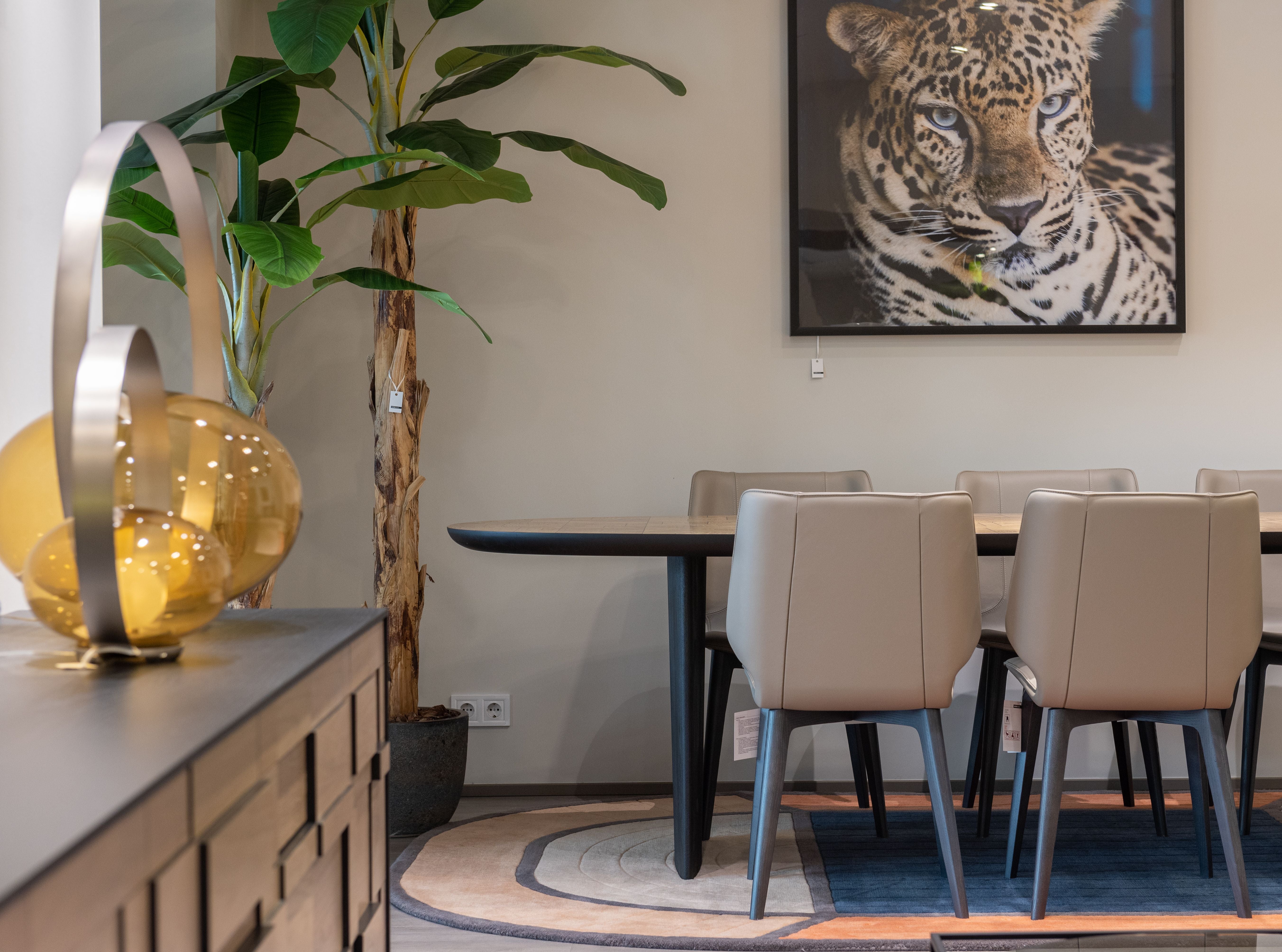 Dining Chairs